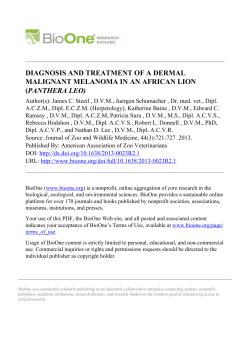 diagnosis and treatment of a dermal malignant