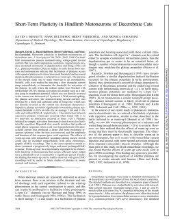 Short-Term Plasticity in Hindlimb Motoneurons of Decerebrate Cats