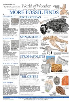 Project - Missoulian Tech