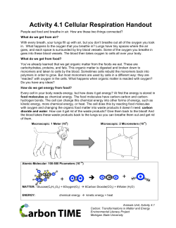 Activity 4.1 Cellular Respiration Handout