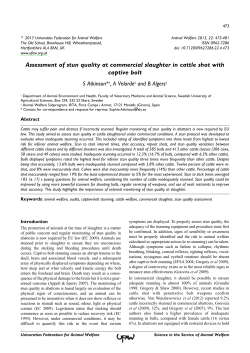 Assessment of stun quality at commercial slaughter in cattle