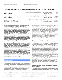 Divided attention limits perception of 3
