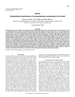 PDF - Journal of Experimental Biology
