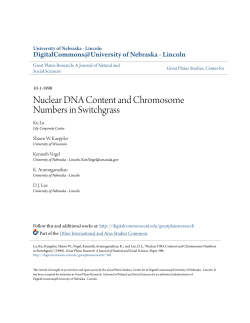 Nuclear DNA Content and Chromosome Numbers in Switchgrass