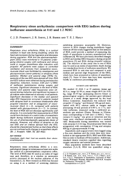 as a PDF