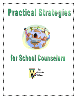 School Counseling Practical Strategies 1st Edition
