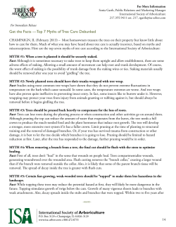 Top 7 Myths of Tree Care Debunked