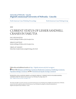 current status of lesser sandhill cranes in yakutia