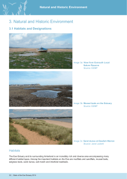 Natural and Historic Environment