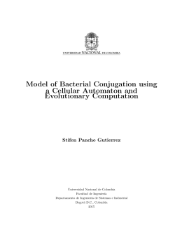 Model of Bacterial Conjugation using a Cellular Automaton and