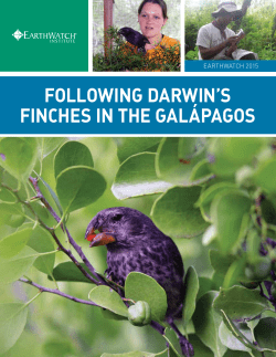 FOLLOWING DARWIN`S FINCHES IN THE GAL&Aacute;PAGOS