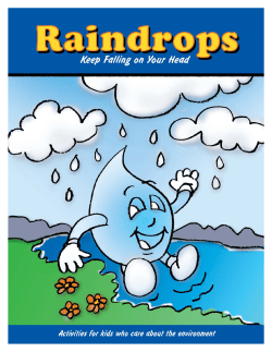 raindrop bro2.indd
