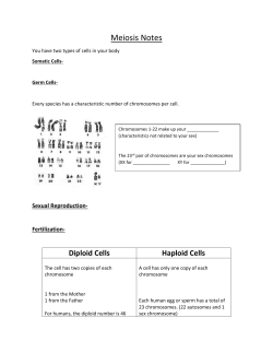 Meiosis Notes
