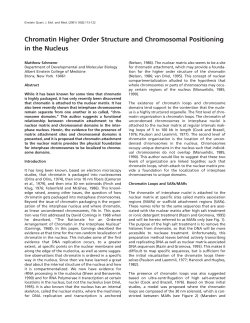 Chromatin Higher Order Structure and Chromosomal Positioning in