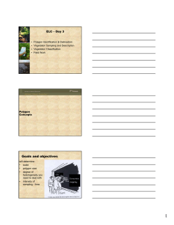 Day 3 - P9 - Polygon Concepts 26May09