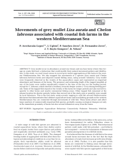 Full text in pdf format