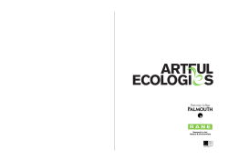 University College Falmouth