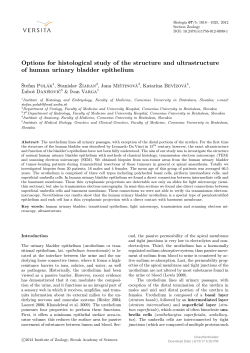 Options for histological study of the structure and