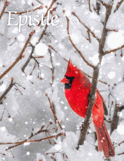 February 2016 edition - Christ Church, Pompton