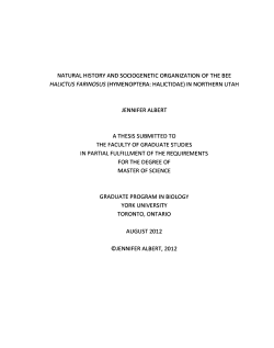 natural history and sociogenetic organization of the bee
