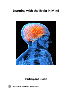 Learning with the Brain in Mind