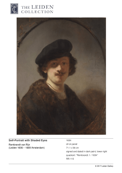 Leiden Gallery Site - The Leiden Collection