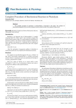 Complete Procedure of Biochemical Reaction in Photolysis