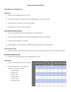 Module 4 Review Questions Review Questions Review Questions