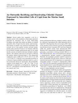 An Outwardly Rectifying and Deactivating Chloride Channel