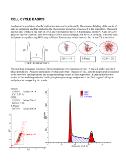 CELL CYCLE BASICS