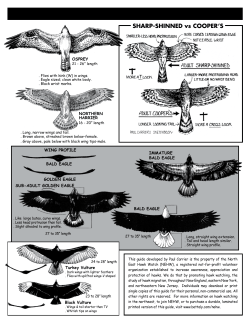 SHARP-SHINNED vs COOPER`S