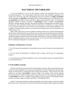 5. Bacterial Metabolism
