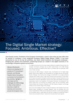 The Digital Single Market strategy: Focused. Ambitious. Effective?