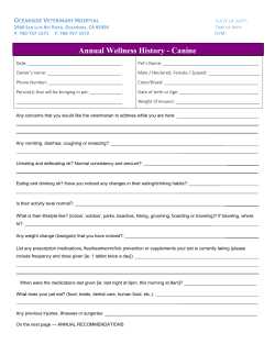 Annual Wellness DOG - Oceanside Veterinary Hospital