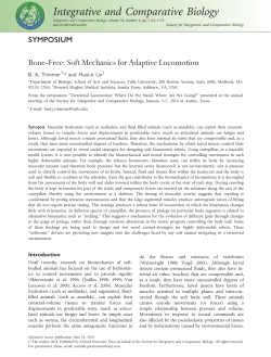 Bone-Free: Soft Mechanics for Adaptive Locomotion