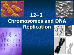 12&ndash;2 Chromosomes and DNA Replication