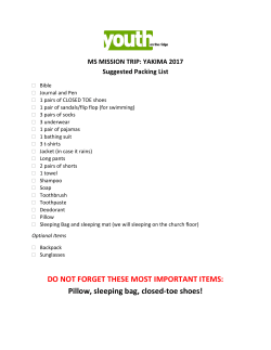 DO NOT FORGET THESE MOST IMPORTANT ITEMS: Pillow