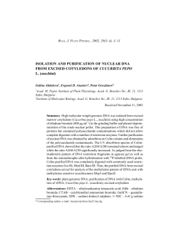 ISOLATION AND PURIFICATION OF NUCLEAR DNA