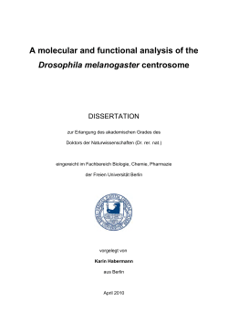 A molecular and functional analysis of the - diss.fu