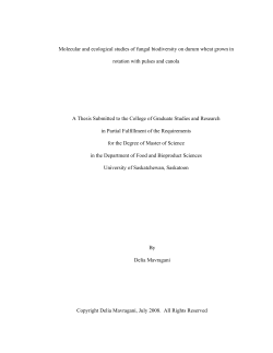 Molecular and ecological studies of fungal biodiversity on durum