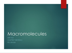 Macromolecules