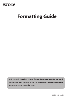 Formatting Guide EN