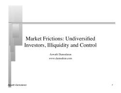 Market Frictions: Undiversified Investors, Illiquidity and Control