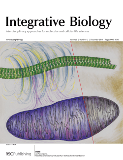 Postulates on electromagnetic activity in biological systems and