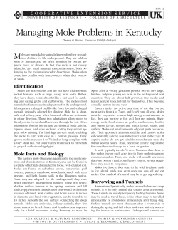 For-42: Managing Mole Problems in Kentucky