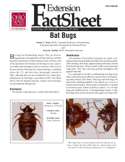 Ohio State Univ Bat Bugs