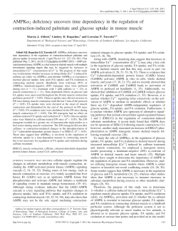 AMPK2 deficiency uncovers time dependency in the regulation of