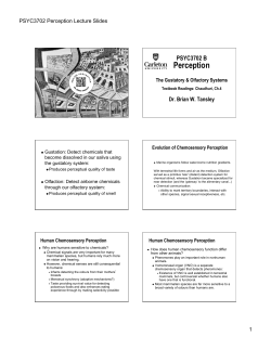 Lecture Topic 3 - Carleton University