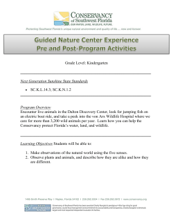 Kindergarten - Conservancy of Southwest Florida