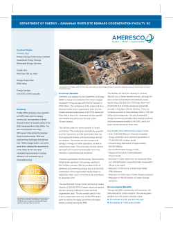 D.O.E. SRS Biomass Cogeneration Facility